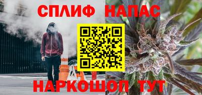 винт Славгород