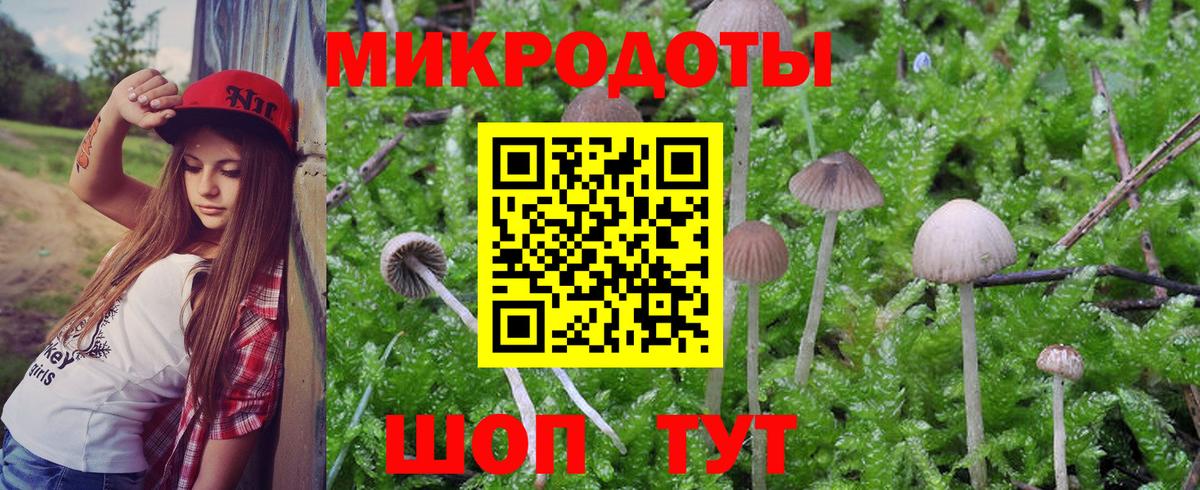 Псилоцибиновые грибы GOLDEN TEACHER  Вход с VPN  Якутск 
